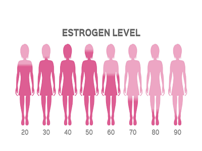 هر آنچه باید درباره استروژن بدانید!